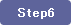 step6