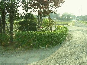 _