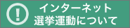 インターネット選挙運動について