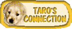 TARO'S CONNECTION
